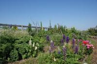 Tuin met uitzicht op Ilperveld